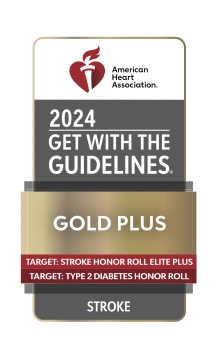 Get with the guidelines stroke gold plus emblem